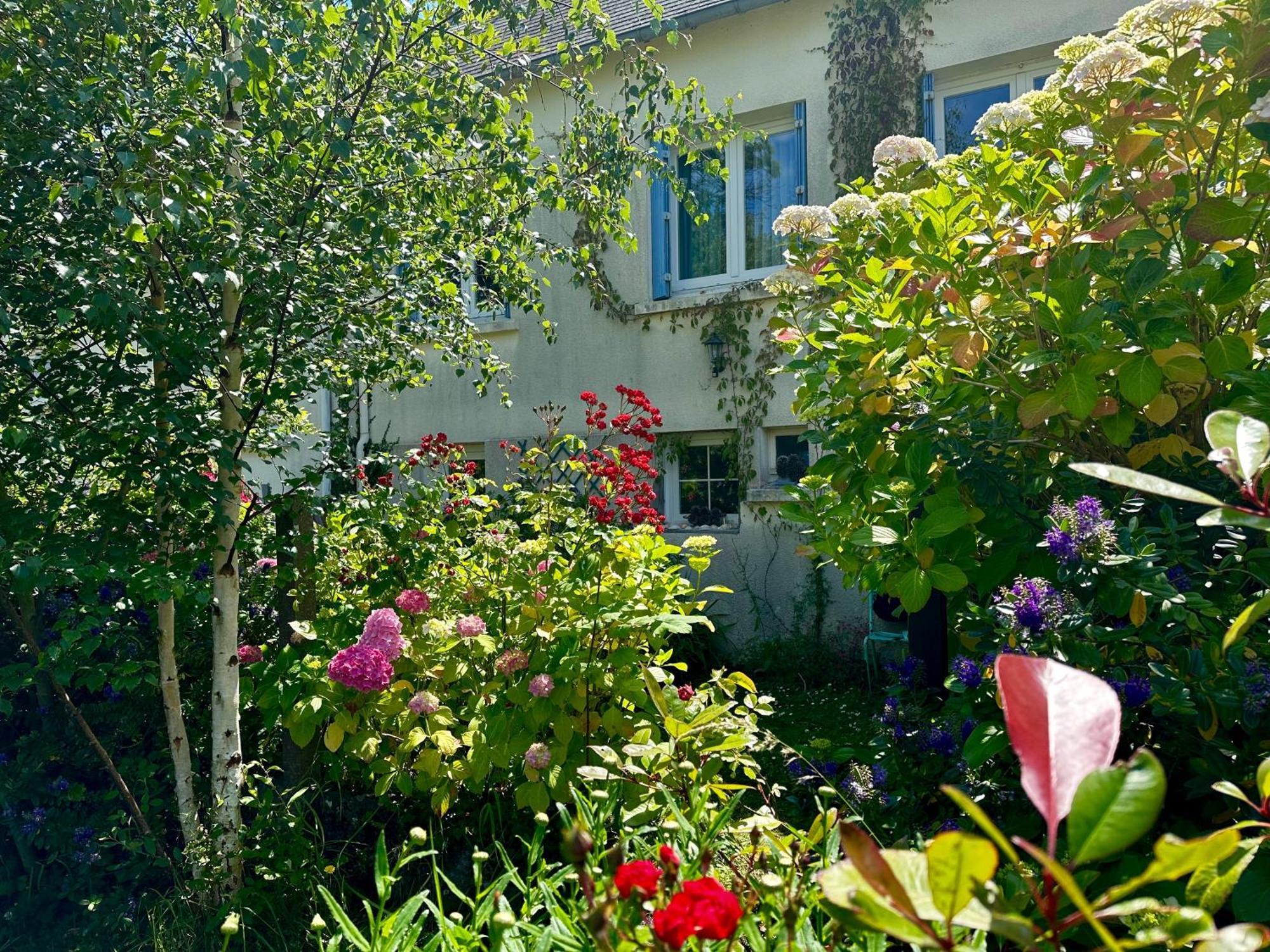 Agreable Maison A 500 M De La Plage ! Saint-Quay-Portrieux Exteriör bild