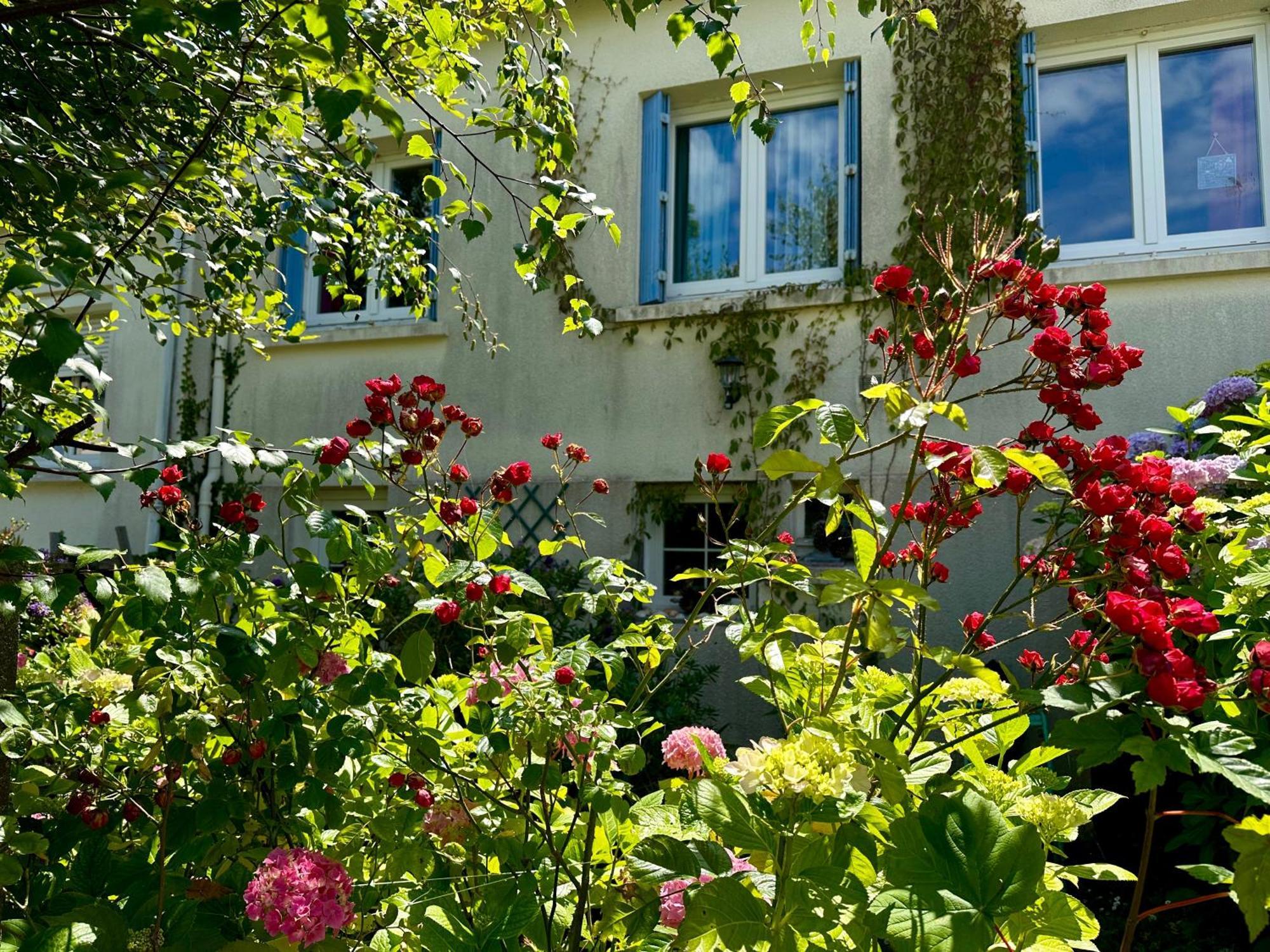Agreable Maison A 500 M De La Plage ! Saint-Quay-Portrieux Exteriör bild